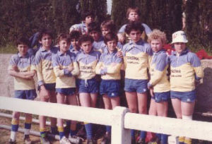 Benjamins 1981