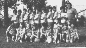 Benjamins 1982