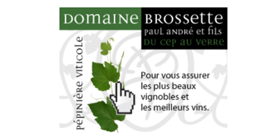 PartenaireRS_Rugby_Villeurbanne_VinsBrossette